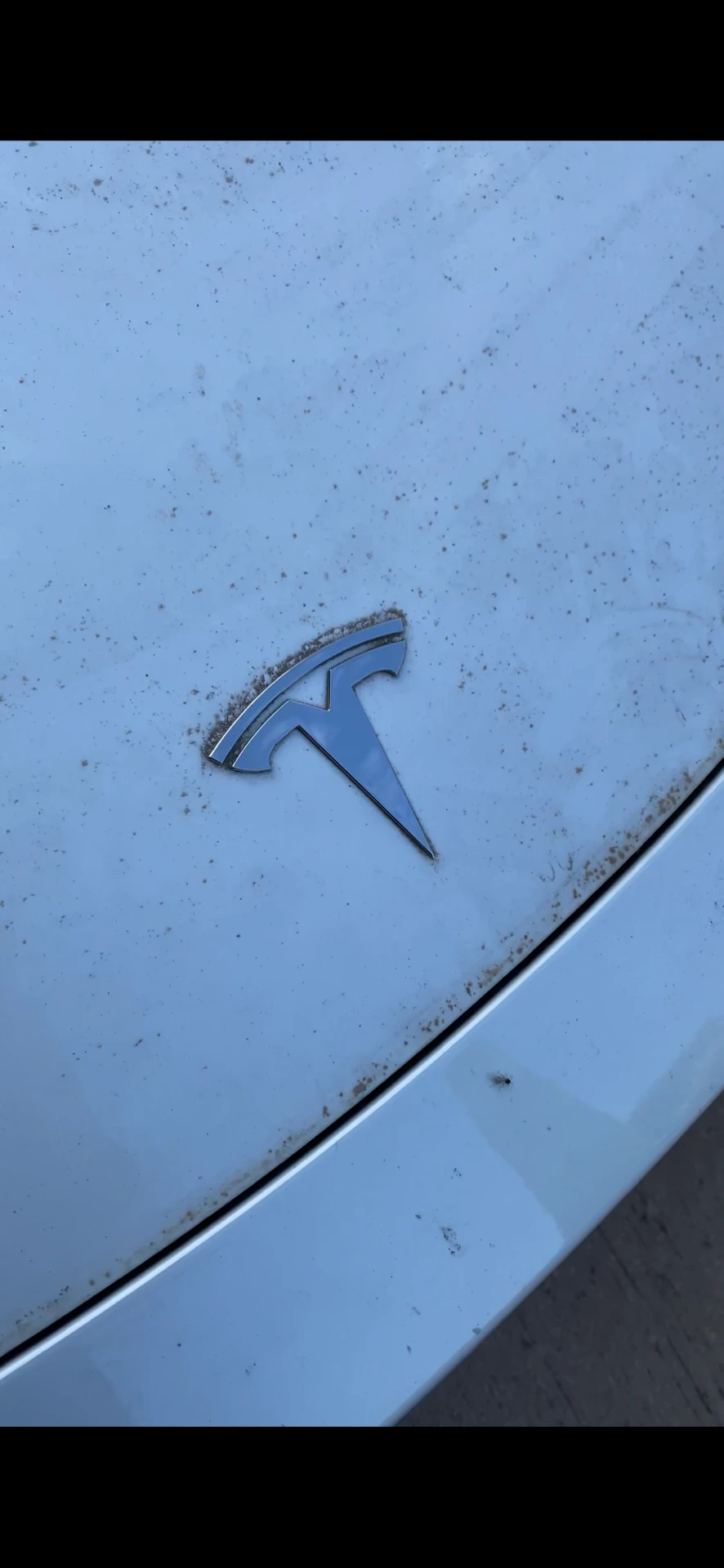 Carrosserie & logo avant nettoyage